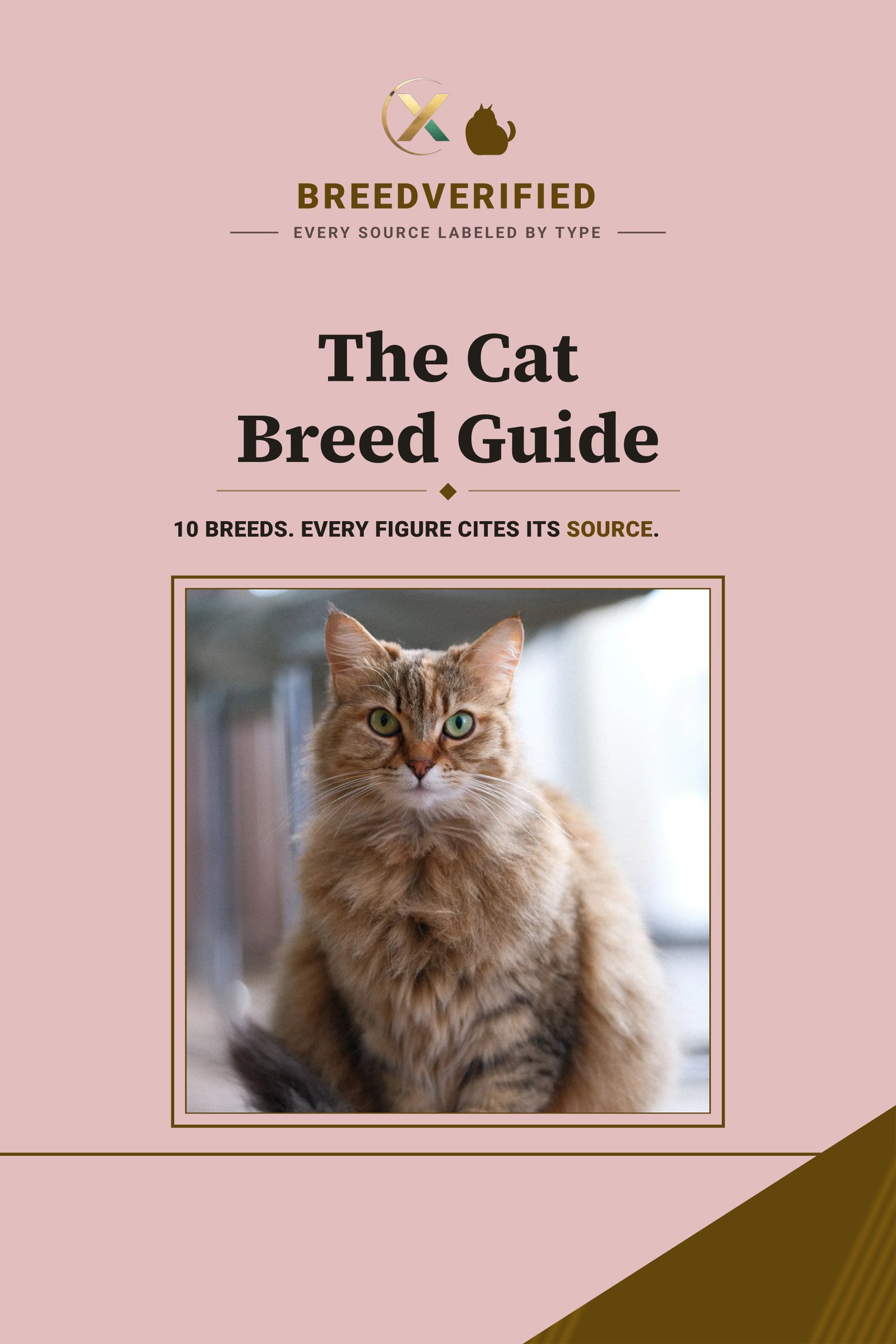 Cover of The Cat Breed Guide ebook