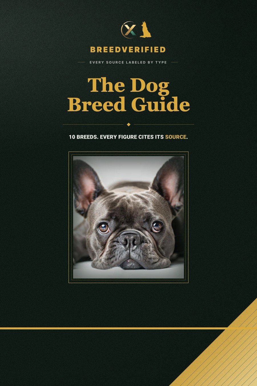 Cover of The Dog Breed Guide ebook
